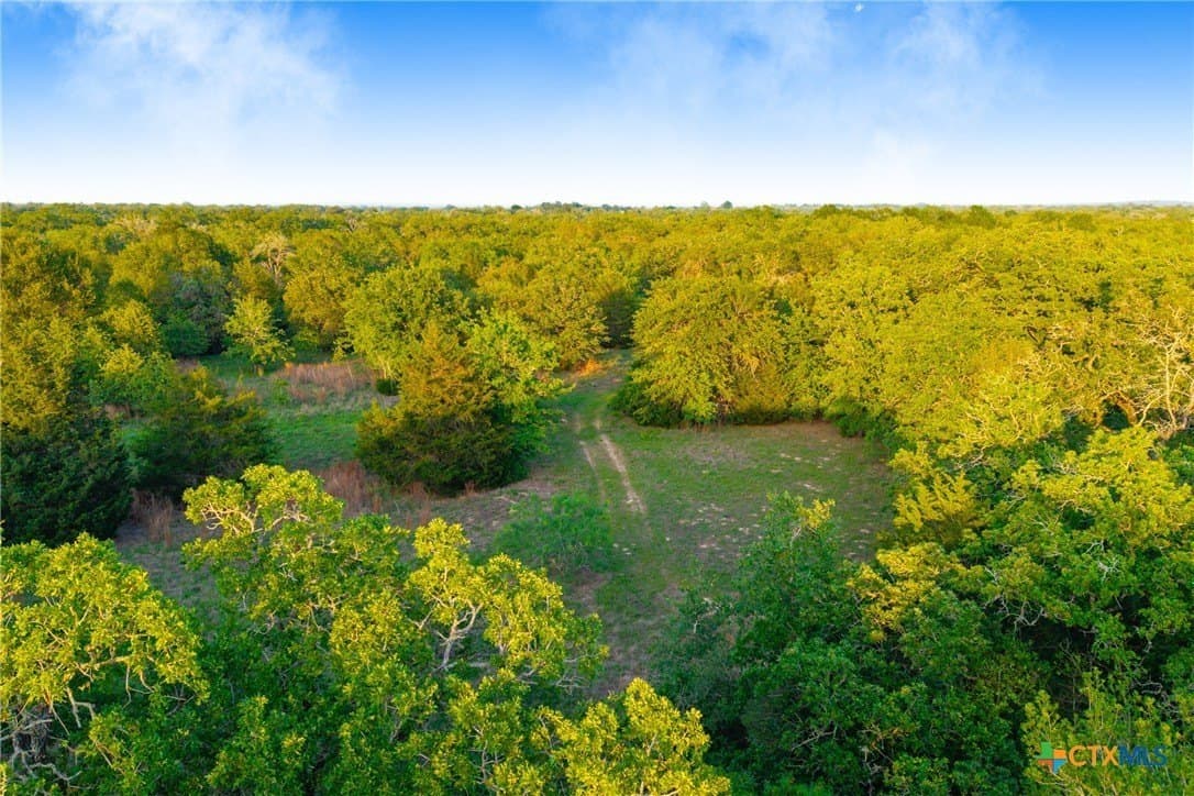 189 acres in Milam County - photo 36