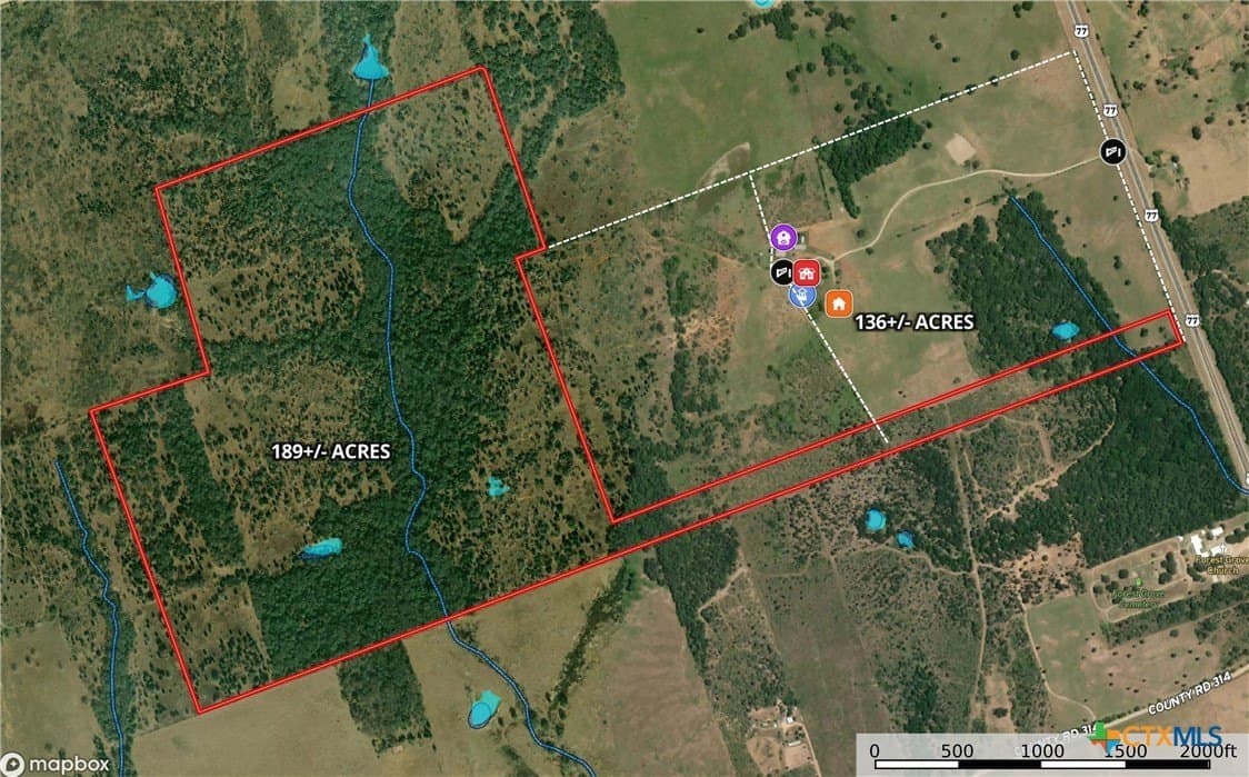 189 acres in Milam County gallery image 2
