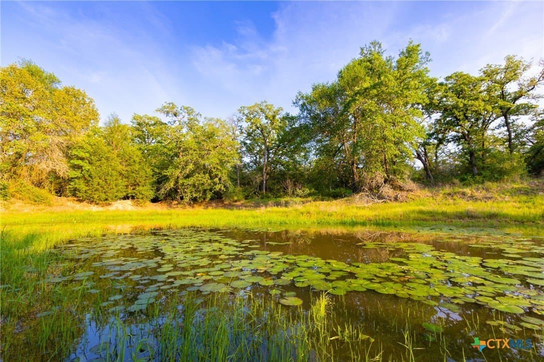 189 acres in Milam County - photo 10