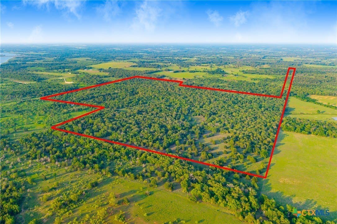 189 acres in Milam County gallery image 3