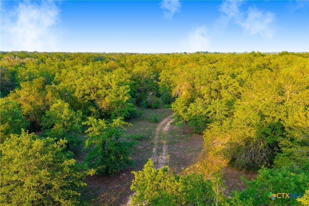 189 acres in Milam County - photo 37
