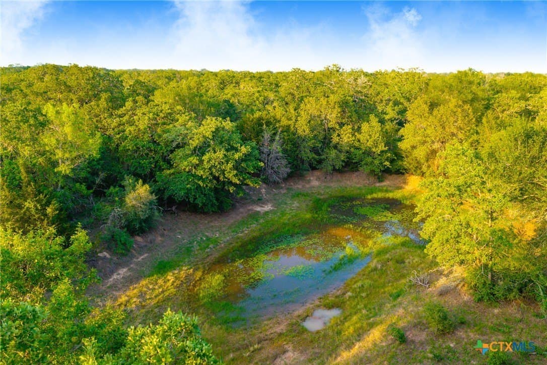 189 acres in Milam County - photo 28