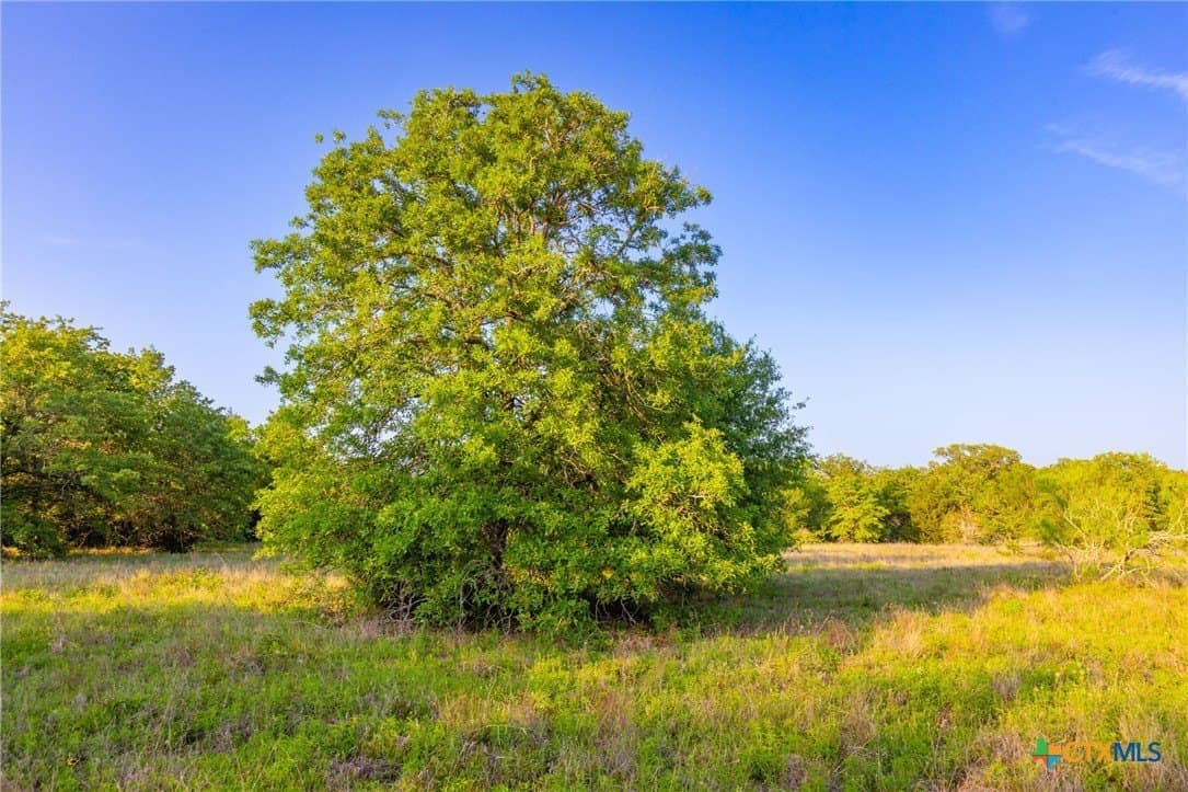 189 acres in Milam County - photo 8