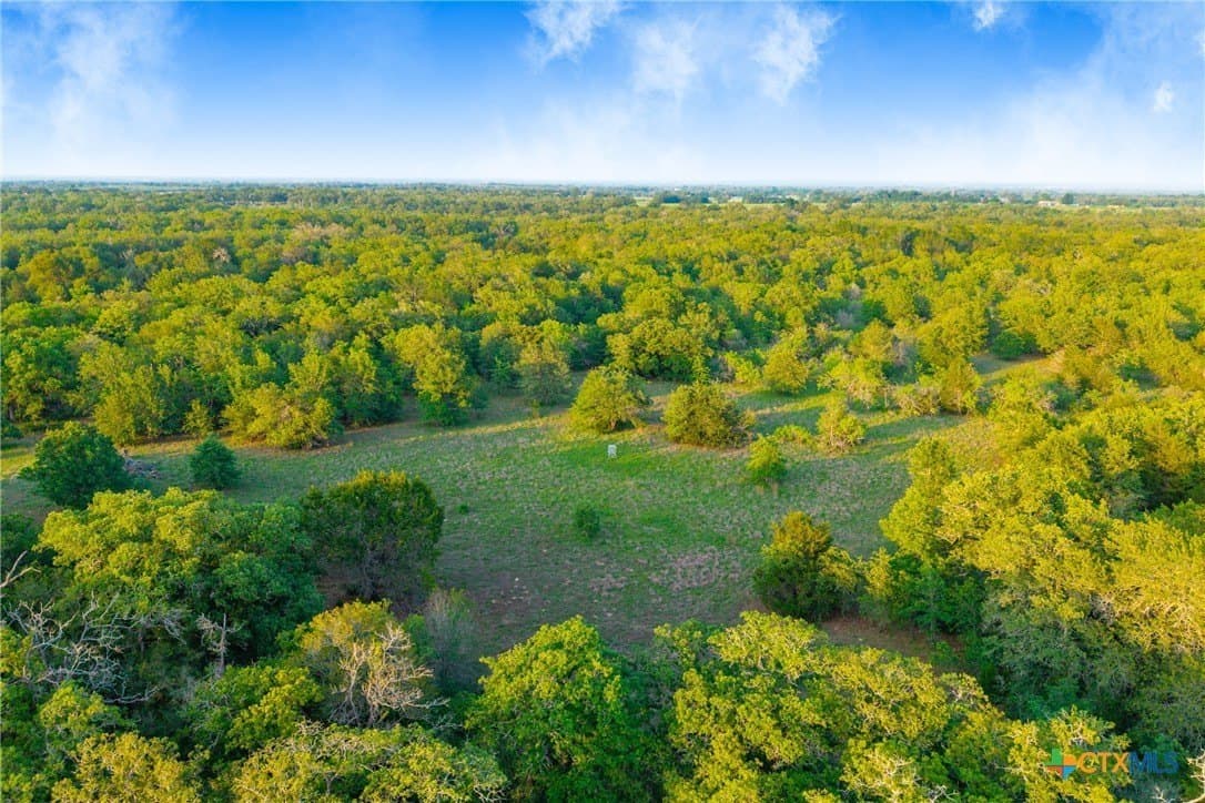 189 acres in Milam County - photo 34