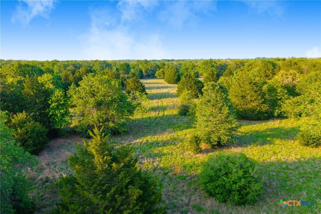 189 acres in Milam County - photo 22
