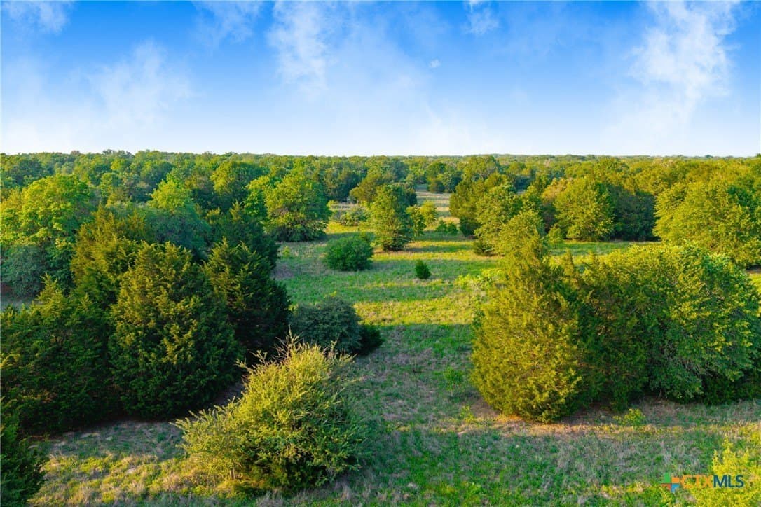 189 acres in Milam County - photo 25
