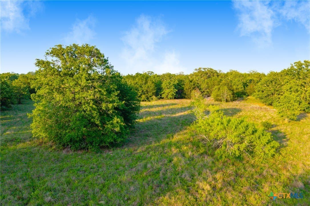 189 acres in Milam County - photo 21