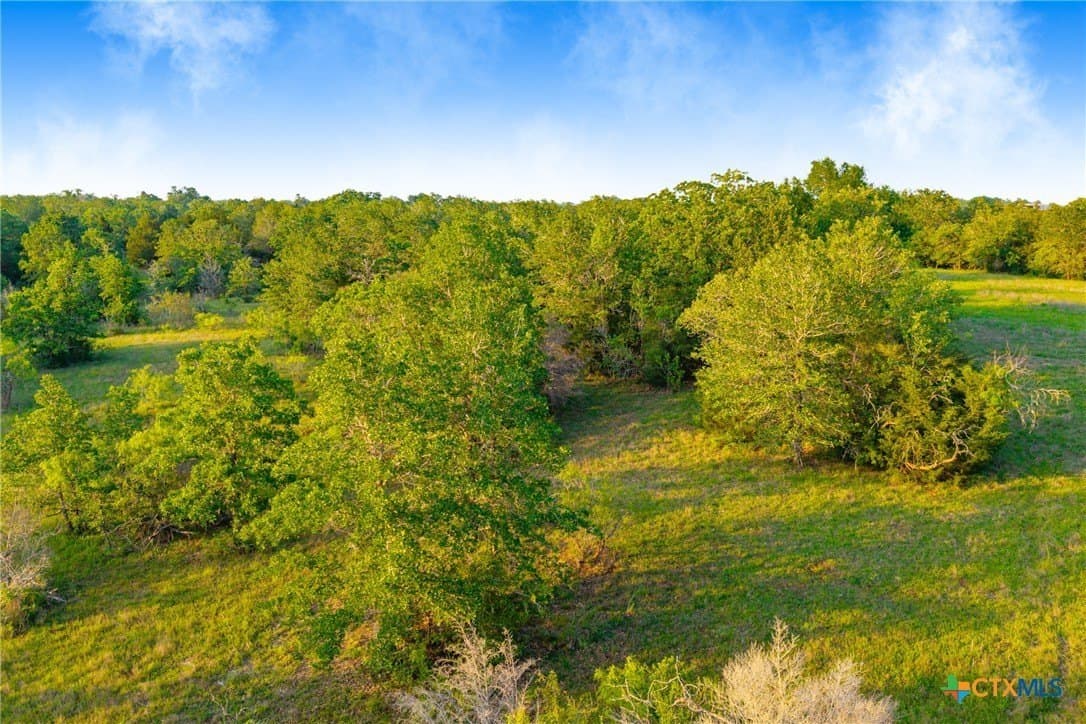 189 acres in Milam County featured view