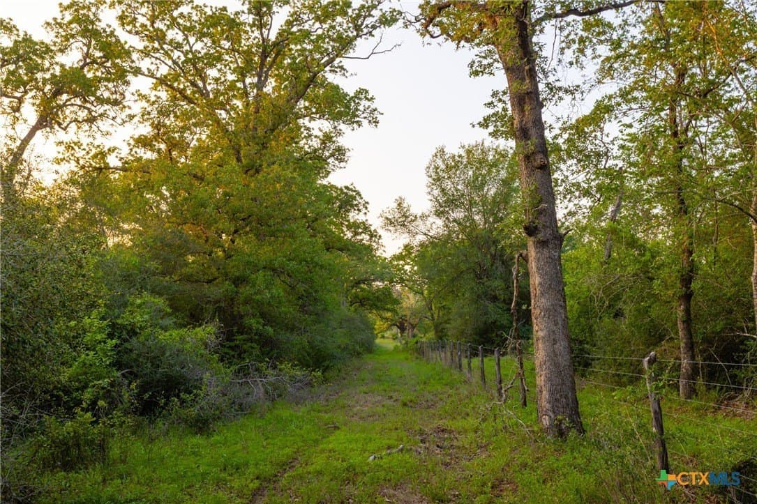 189 acres in Milam County - photo 20