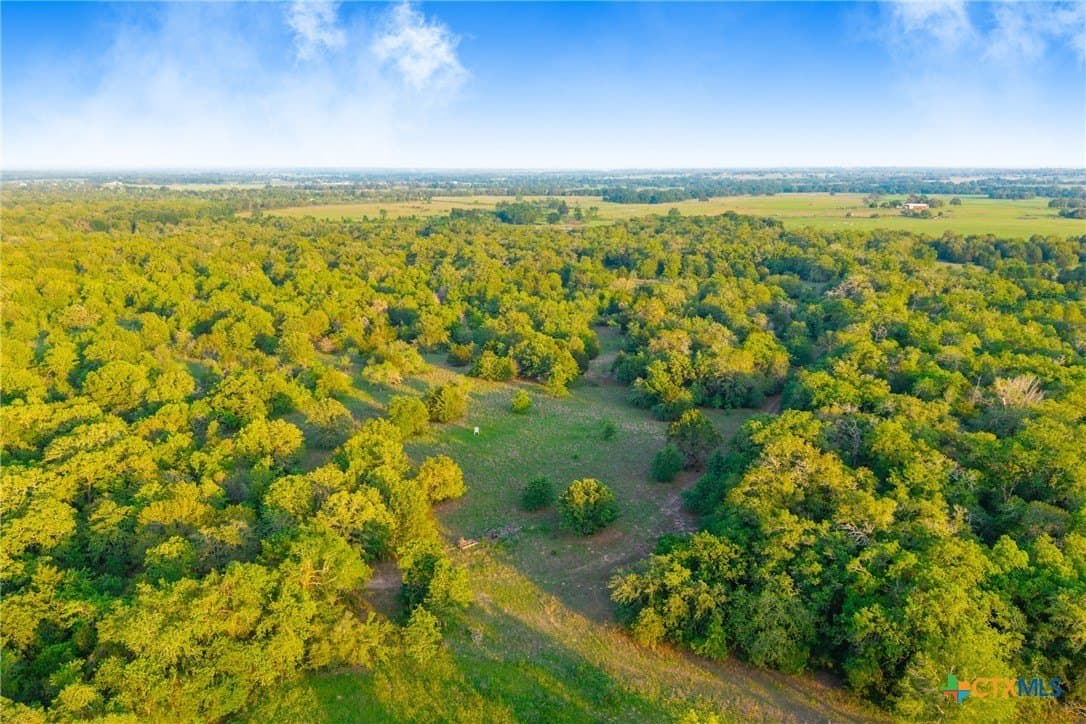 189 acres in Milam County - photo 35