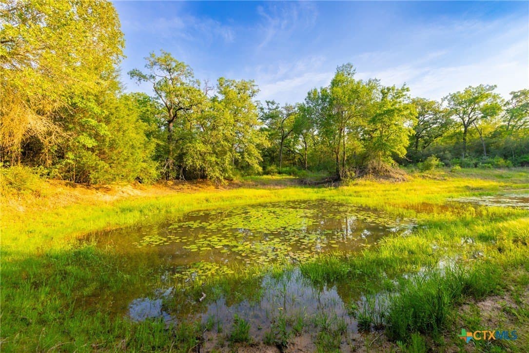 189 acres in Milam County - photo 15