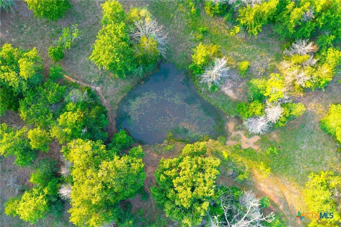 189 acres in Milam County - photo 32
