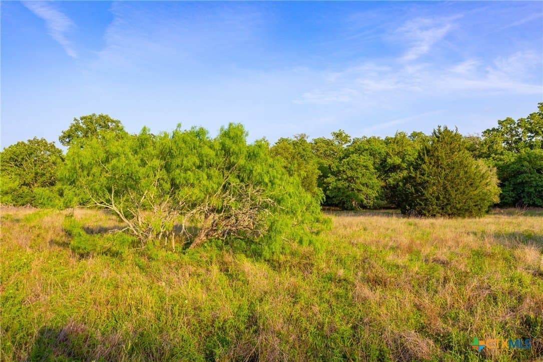 189 acres in Milam County - photo 11