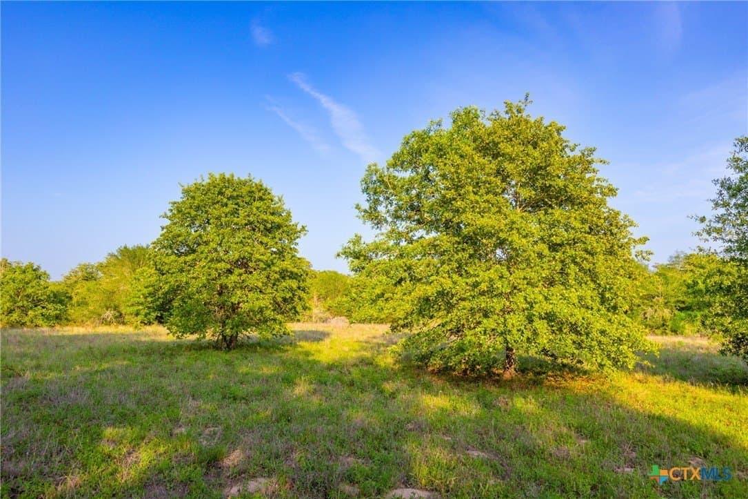 189 acres in Milam County - photo 12