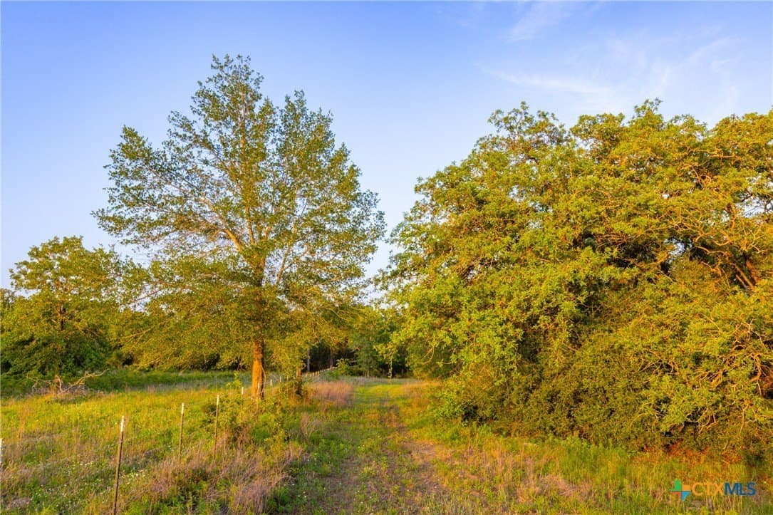 189 acres in Milam County - photo 18