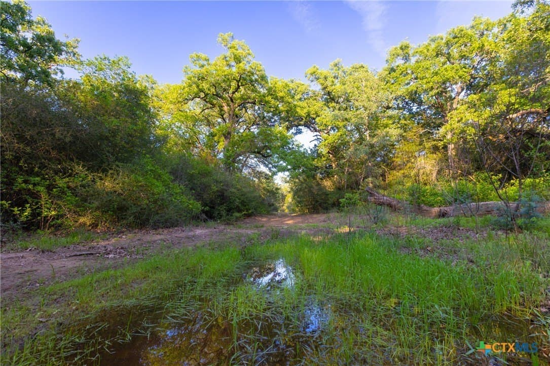 189 acres in Milam County - photo 6