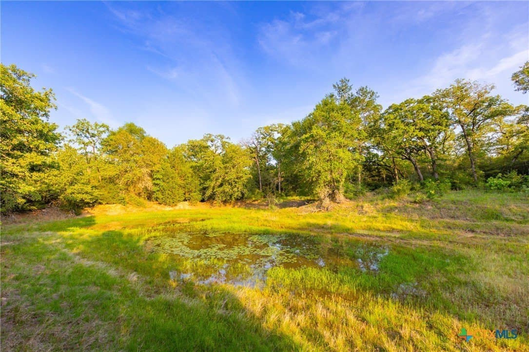189 acres in Milam County - photo 14