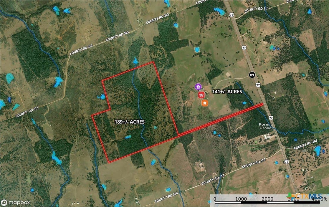 189 acres in Milam County gallery image 3