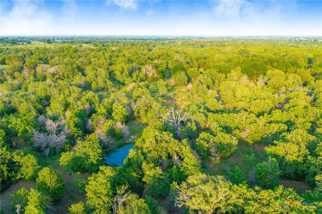 189 acres in Milam County - photo 31