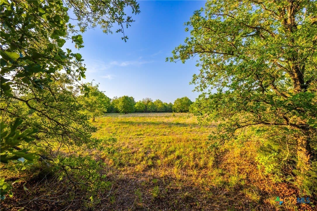 189 acres in Milam County - photo 16
