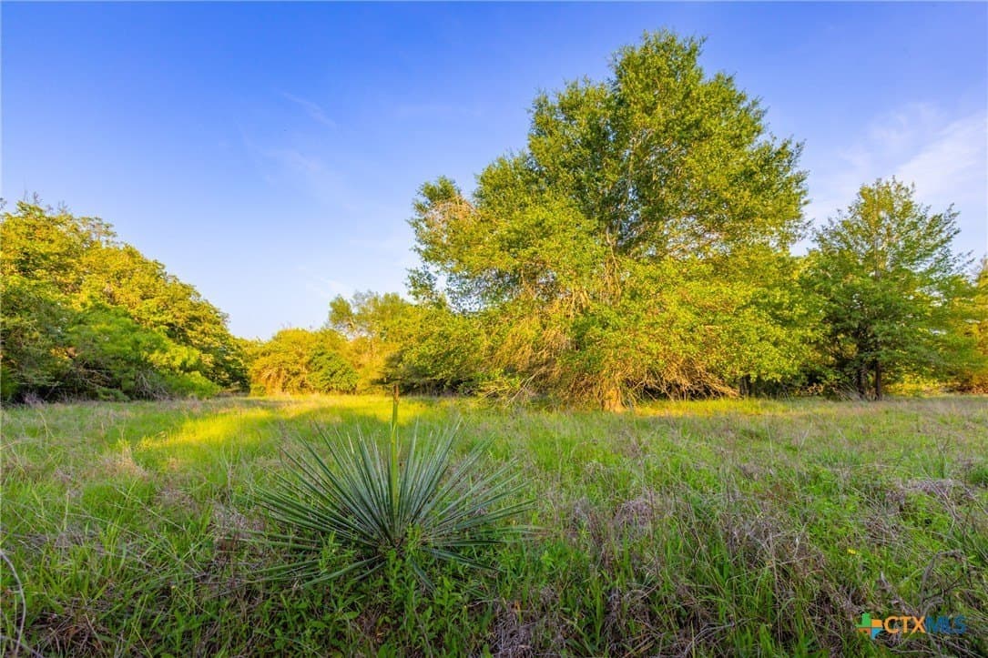 189 acres in Milam County - photo 17