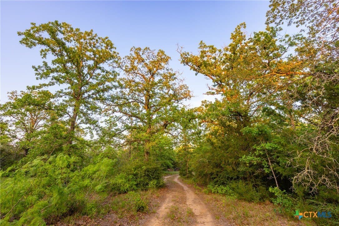 189 acres in Milam County - photo 19