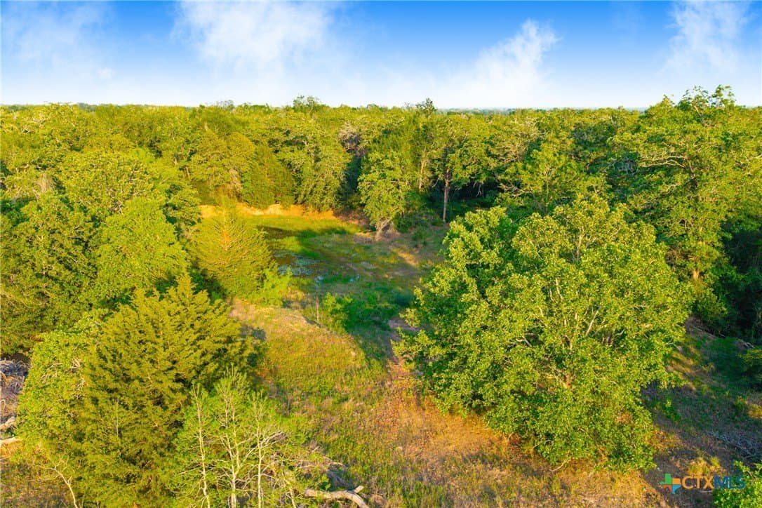 189 acres in Milam County - photo 27