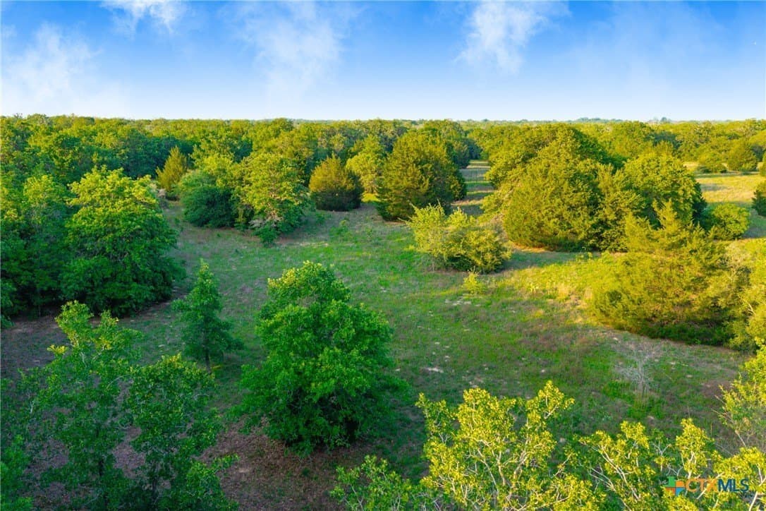 189 acres in Milam County - photo 23