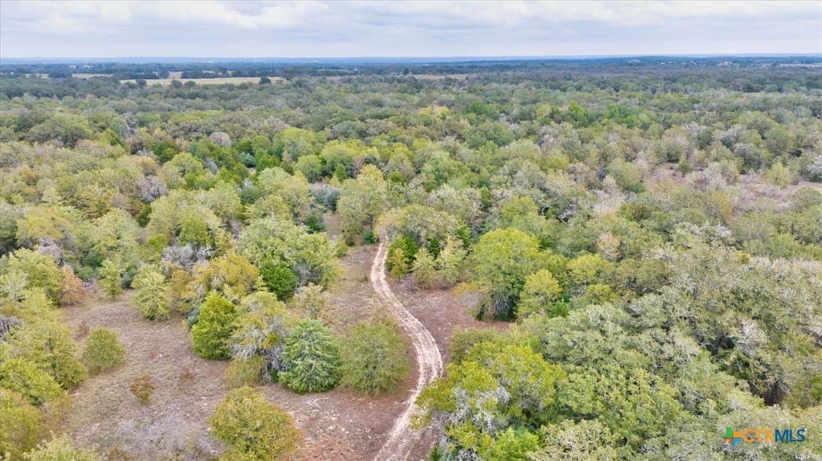 189 acres in Milam County gallery image 4