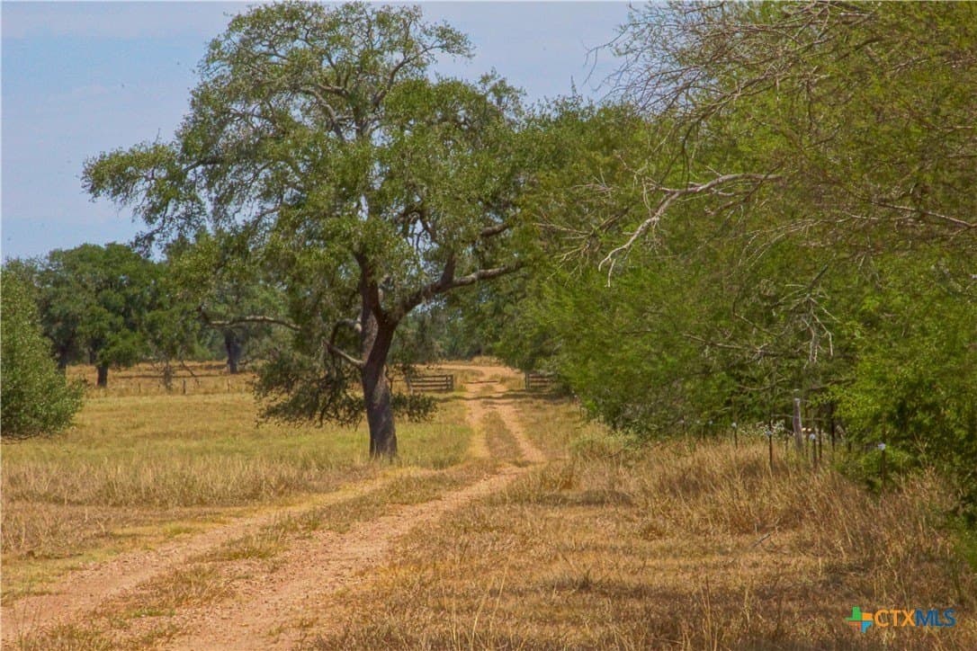 57.28 acres in DeWitt County - photo 21