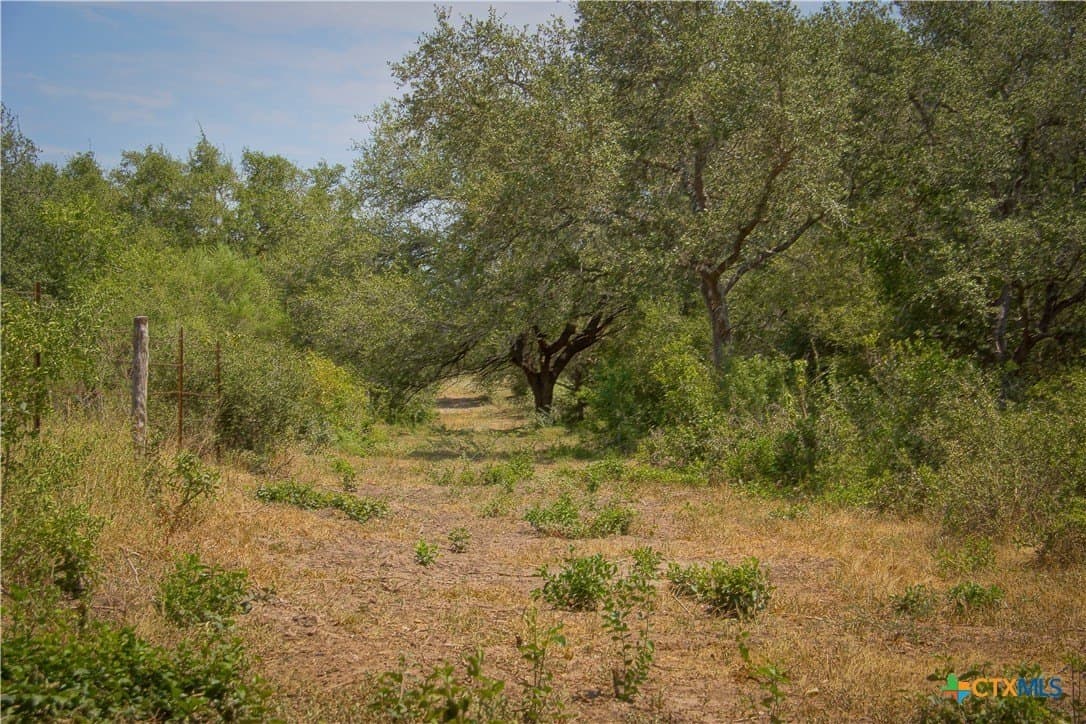 57.28 acres in DeWitt County - photo 20