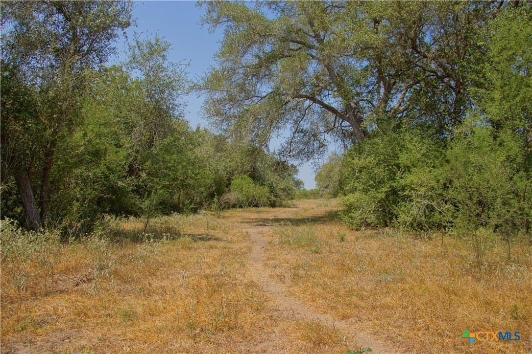 57.28 acres in DeWitt County - photo 19