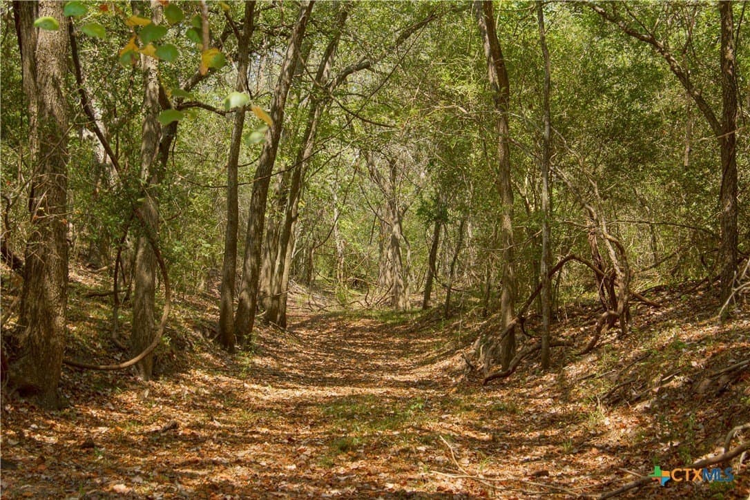 57.28 acres in DeWitt County - photo 16