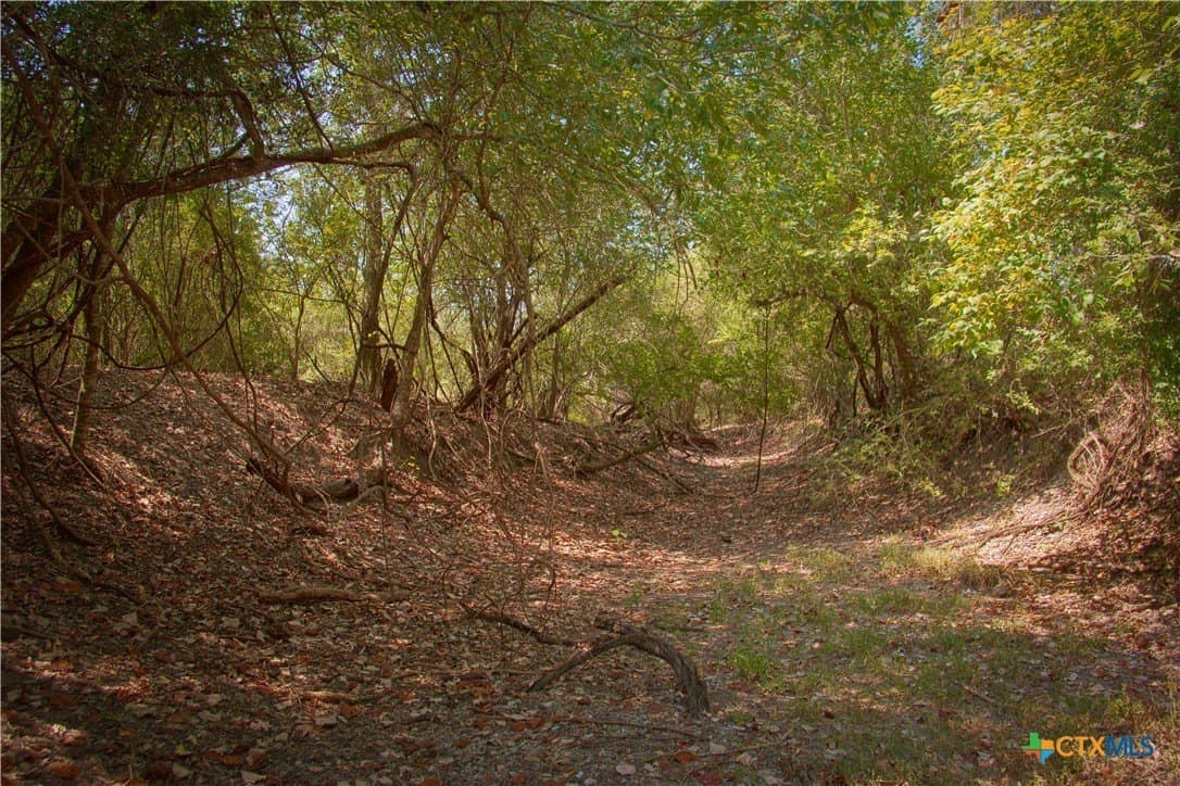 57.28 acres in DeWitt County - photo 18