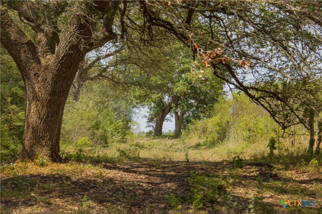 57.28 acres in DeWitt County - photo 13