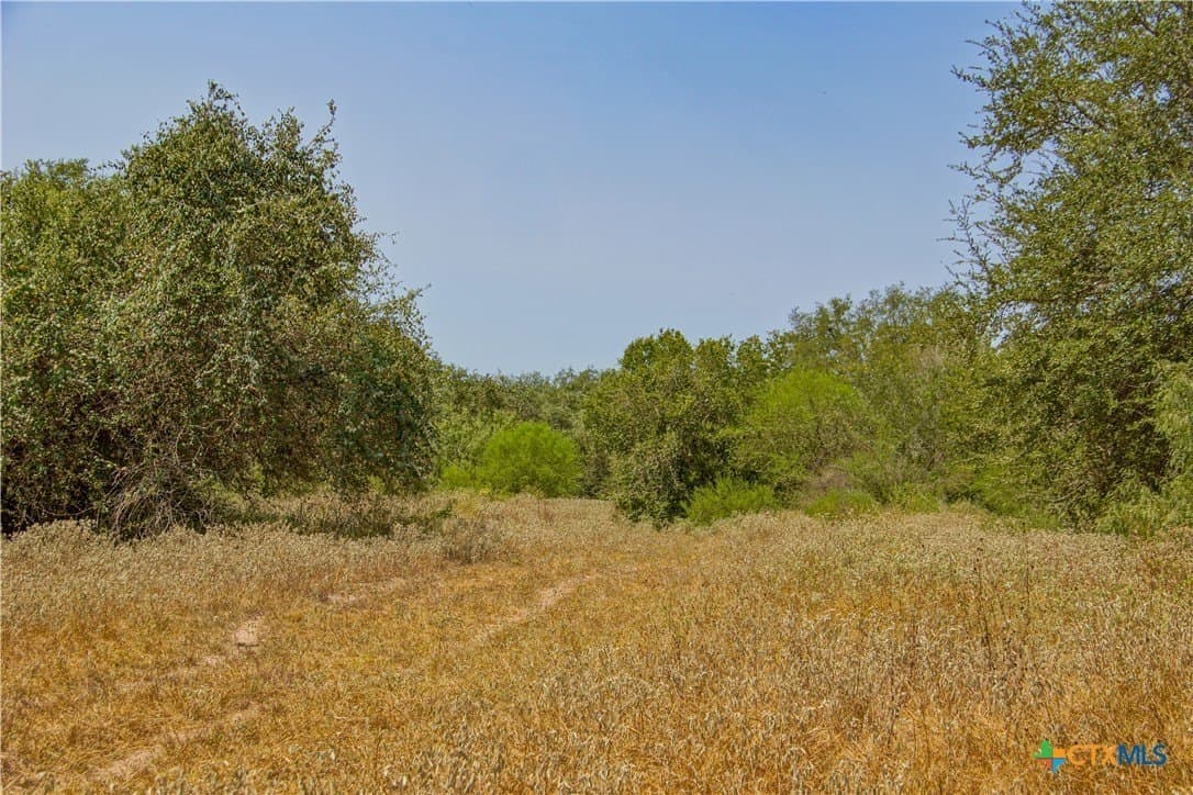 57.28 acres in DeWitt County - photo 17
