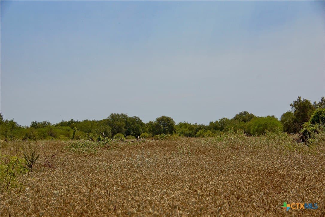 57.28 acres in DeWitt County - photo 14
