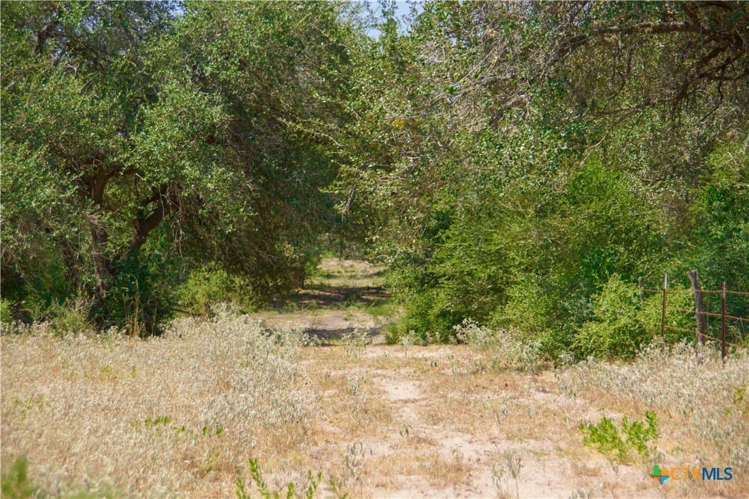 57.28 acres in DeWitt County - photo 15