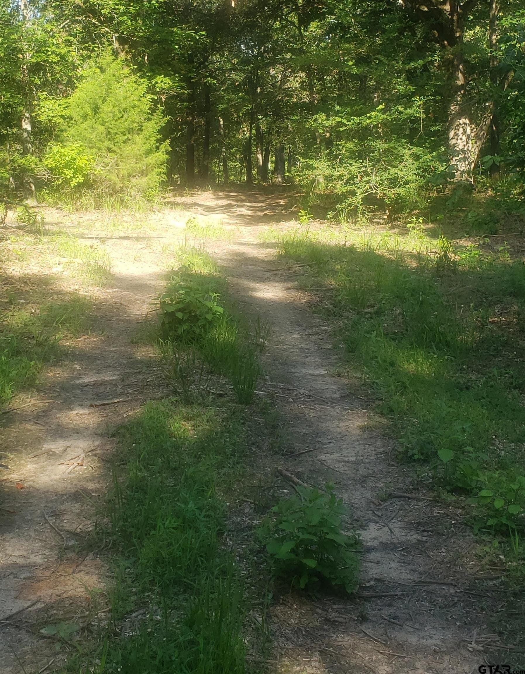 25 acres in Hopkins County - photo 12