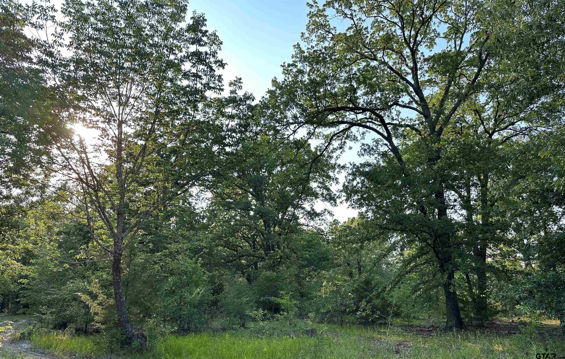 25 acres in Hopkins County - photo 20