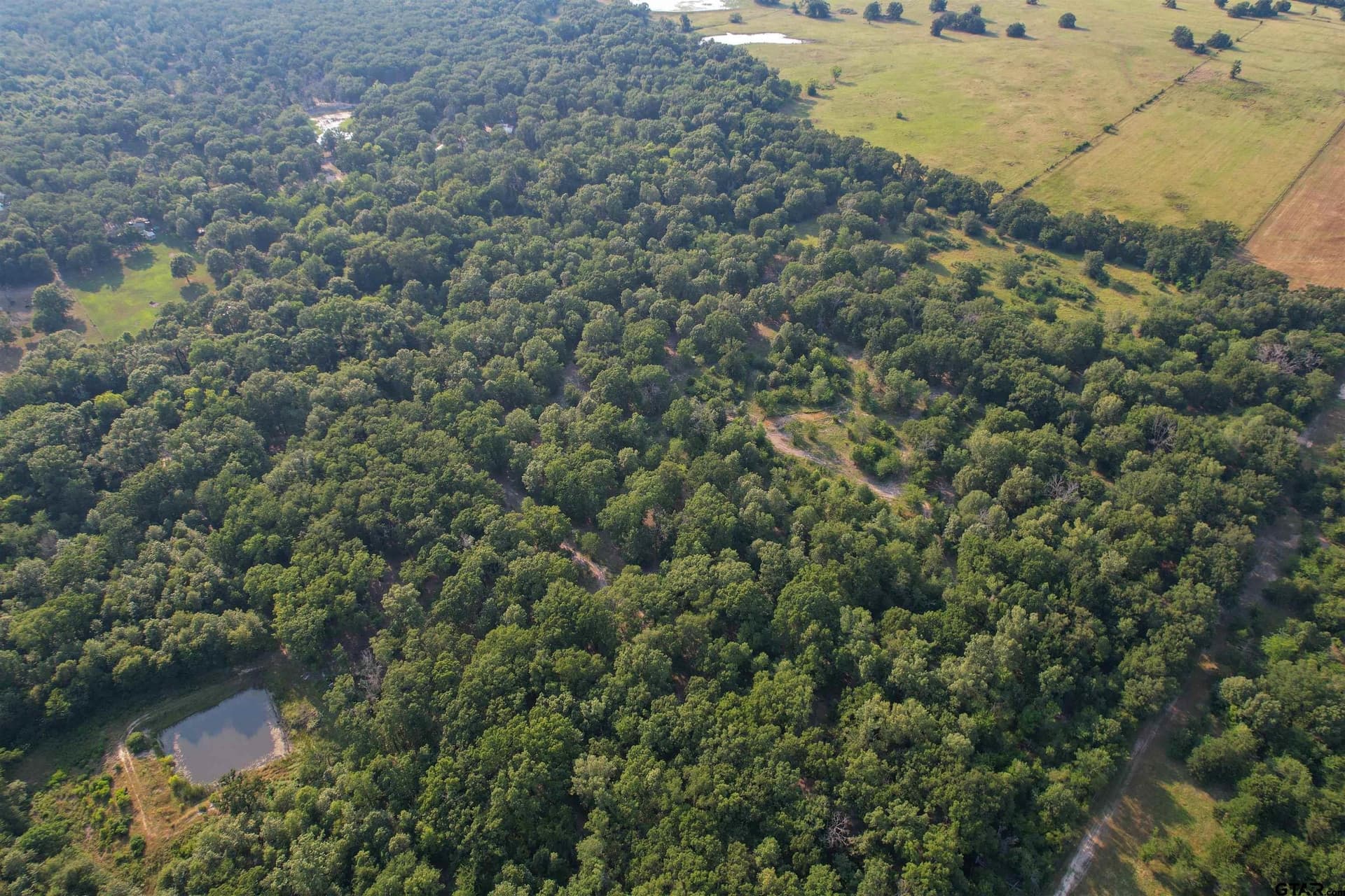 25 acres in Hopkins County - photo 23