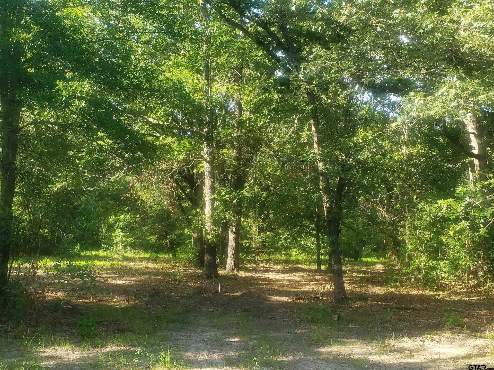 25 acres in Hopkins County - photo 10