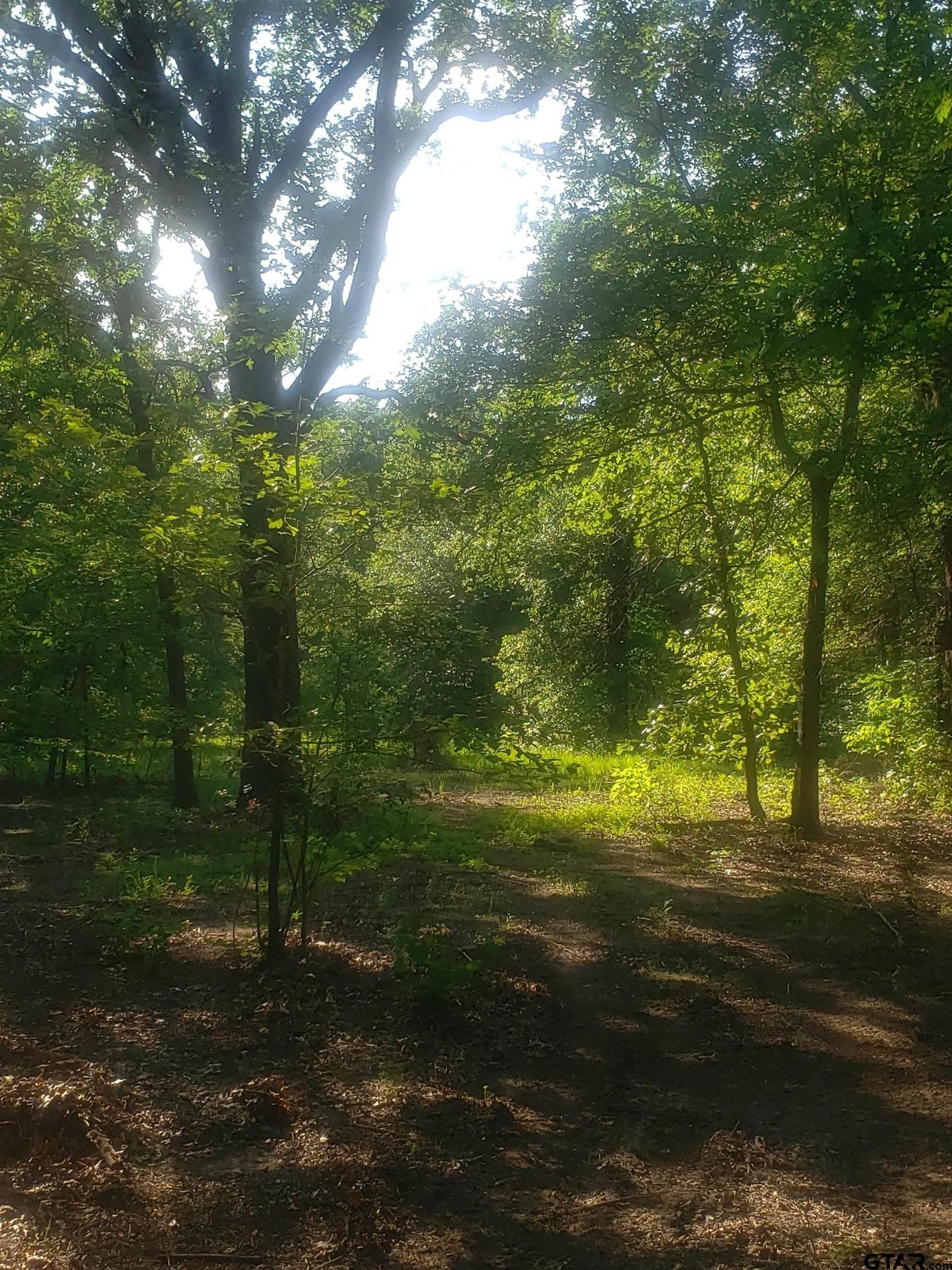 25 acres in Hopkins County - photo 9
