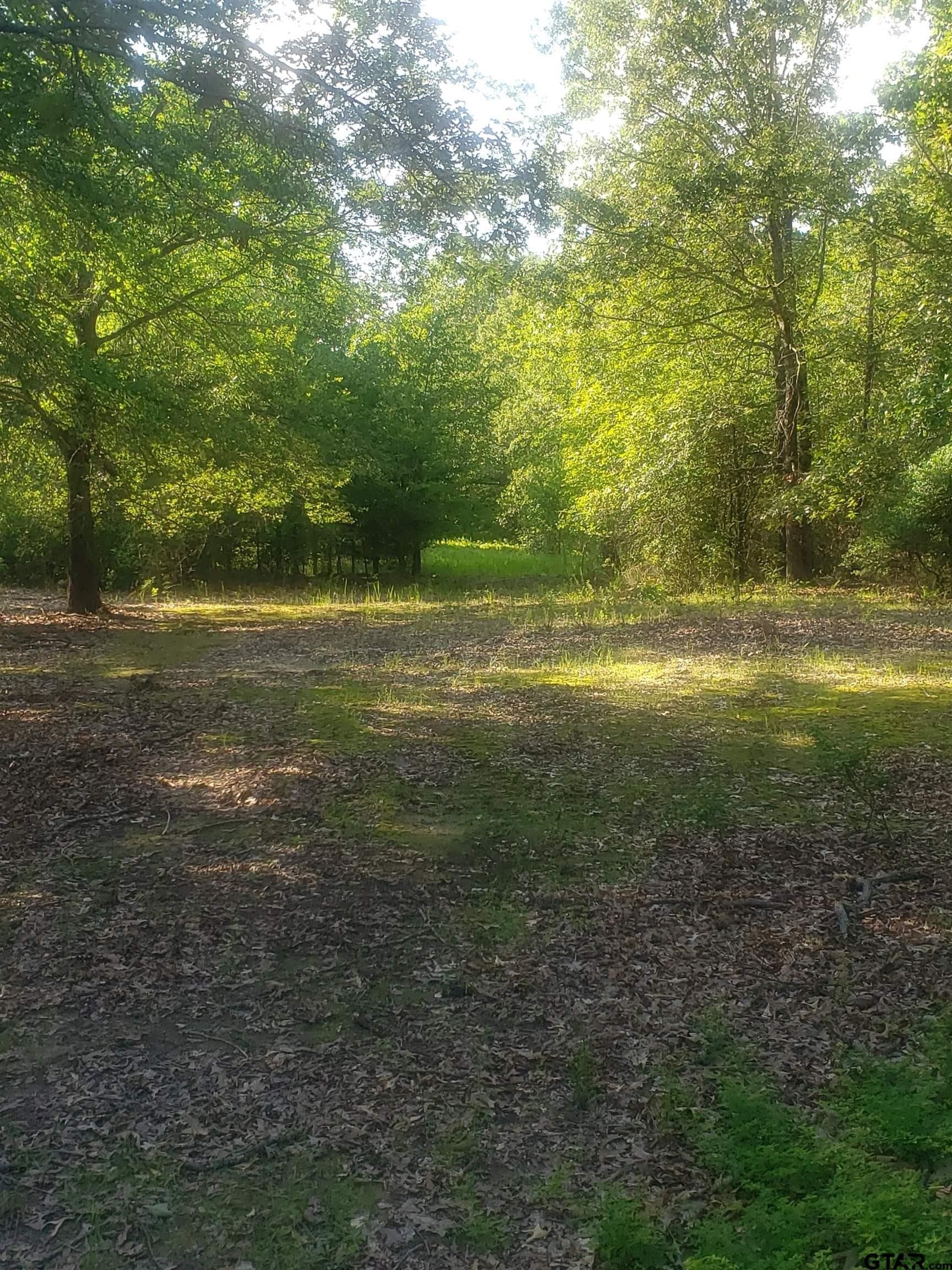 25 acres in Hopkins County - photo 14