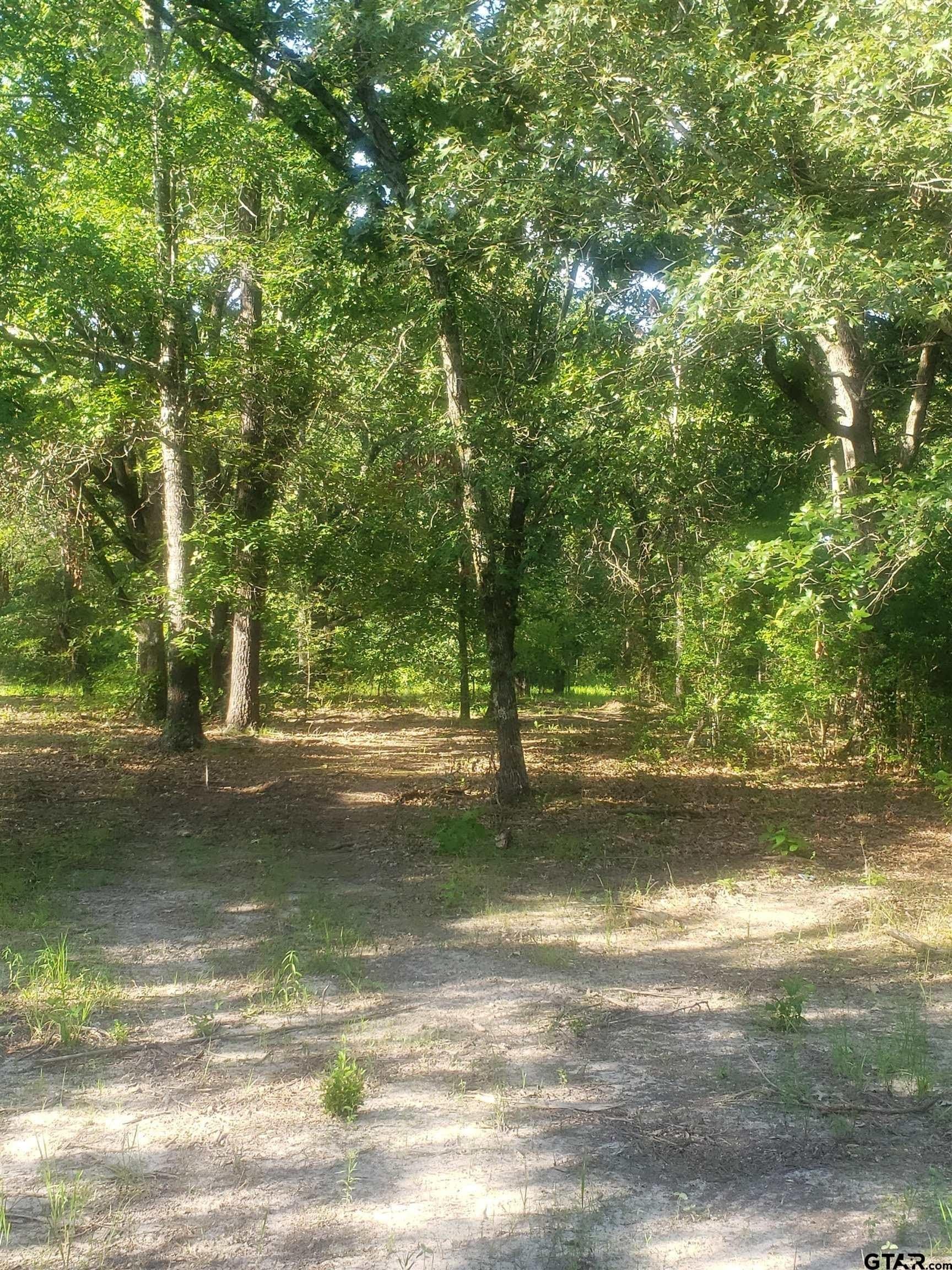 25 acres in Hopkins County - photo 8
