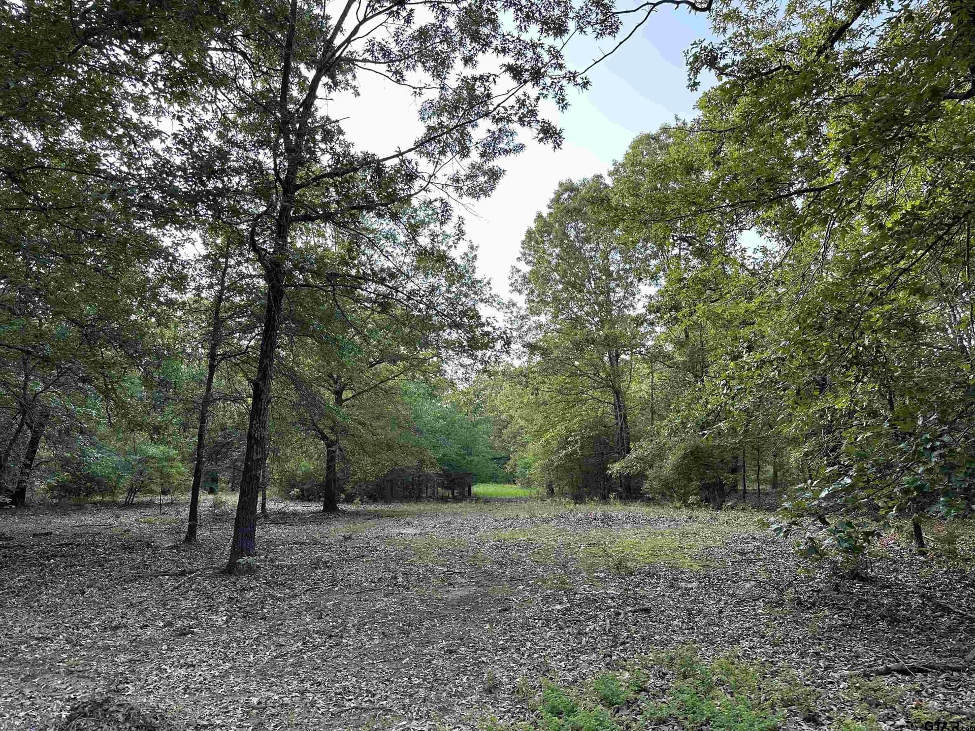 25 acres in Hopkins County gallery image 4
