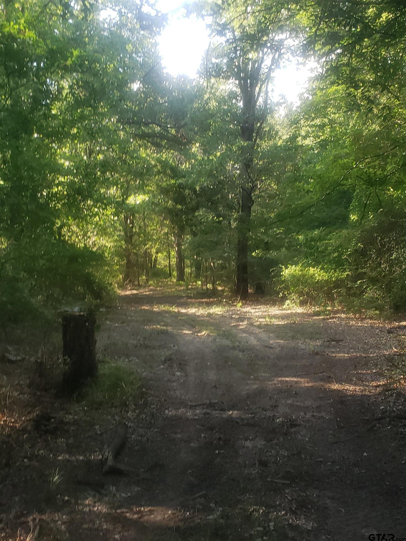 25 acres in Hopkins County - photo 17