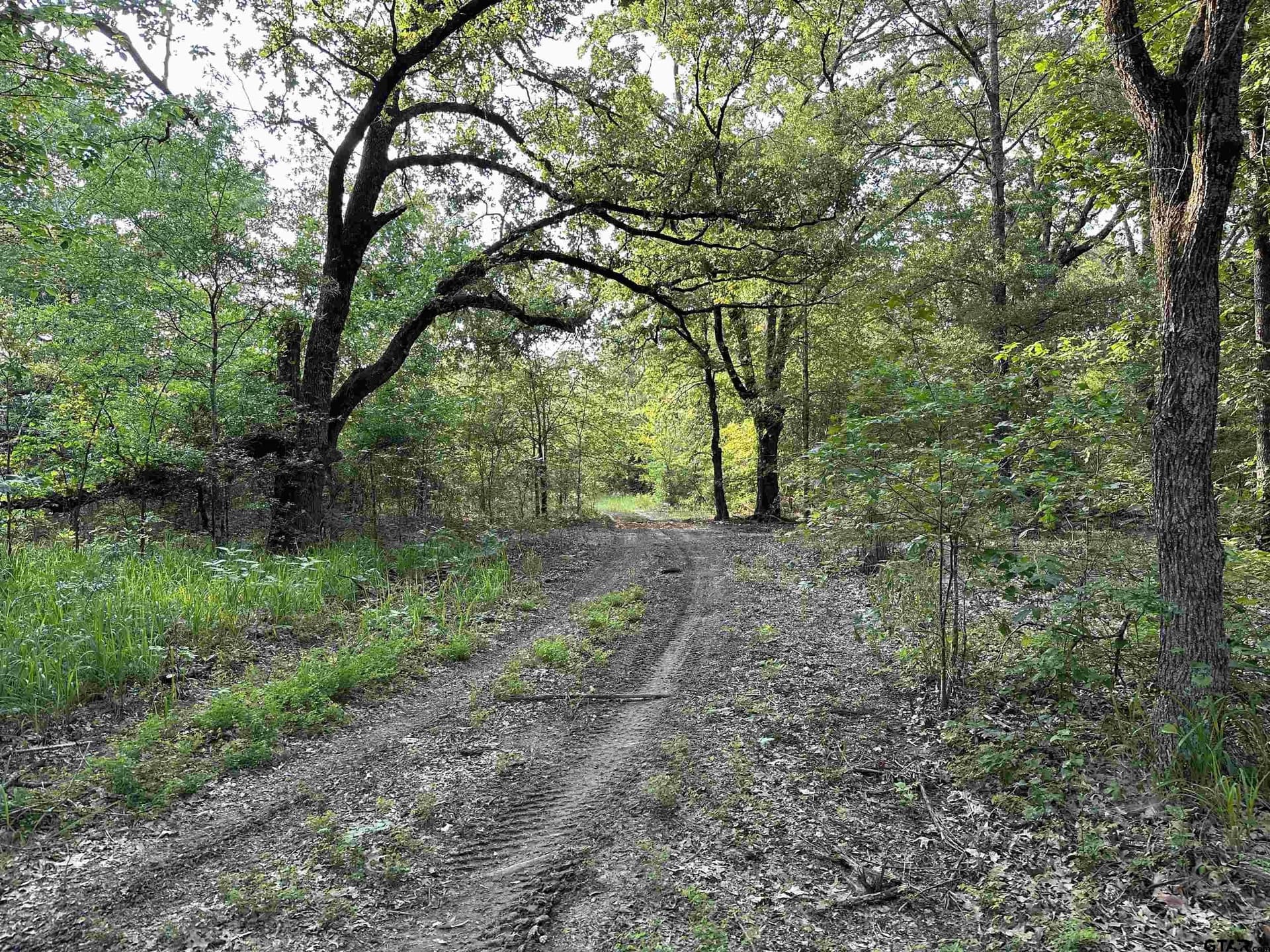 25 acres in Hopkins County - photo 21