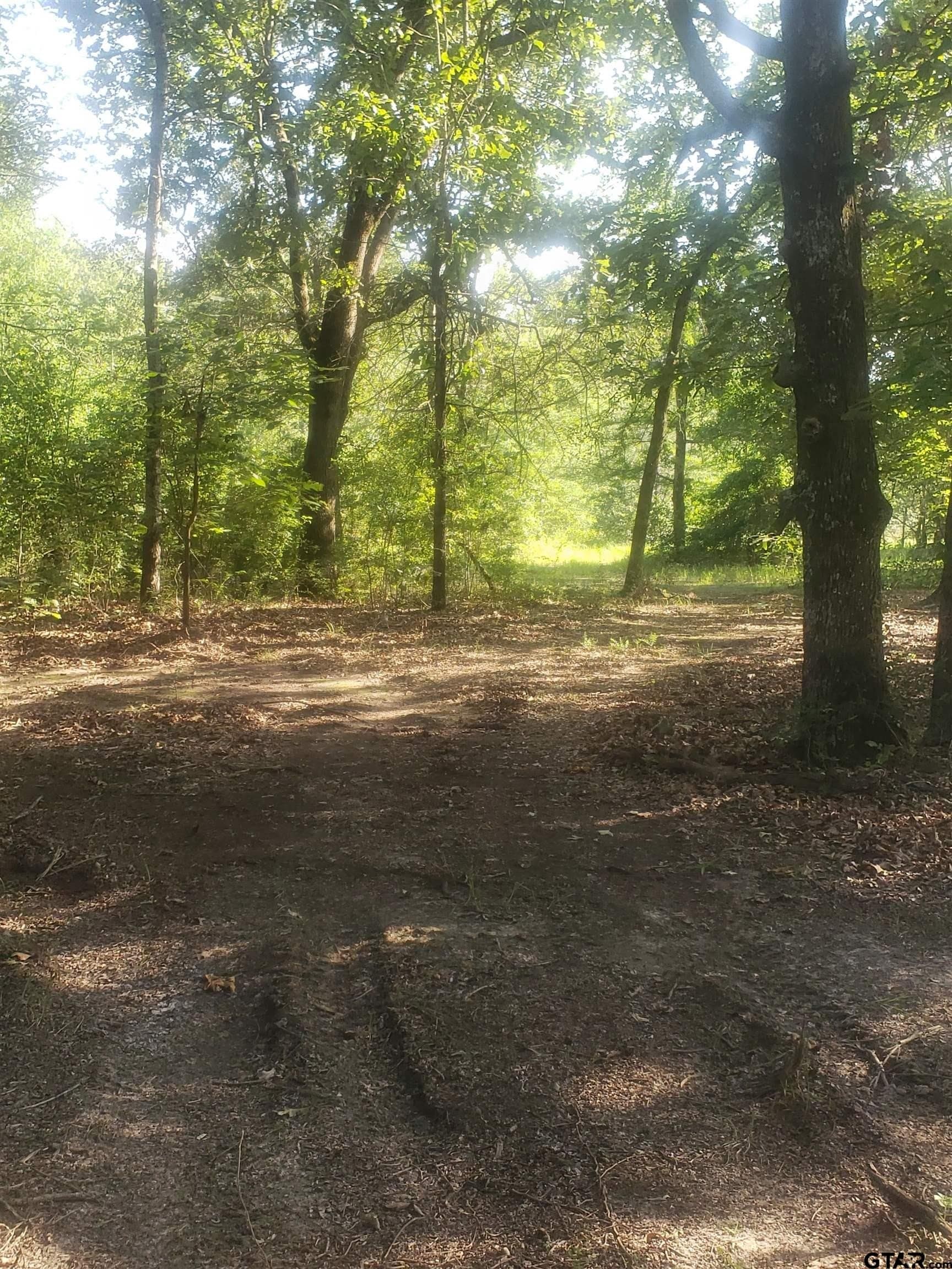 25 acres in Hopkins County - photo 11
