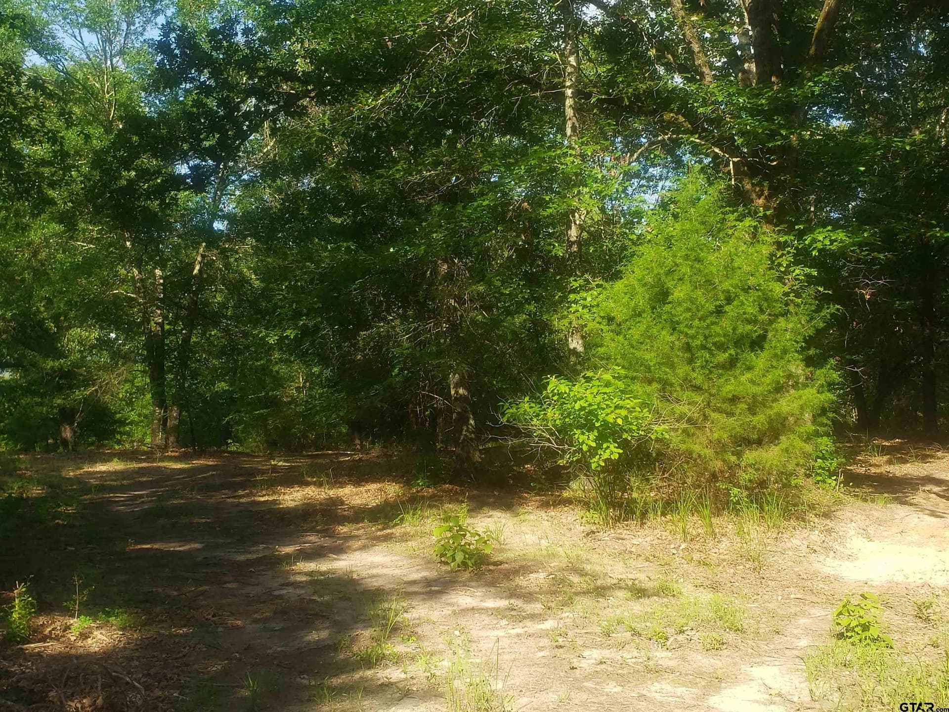 25 acres in Hopkins County - photo 15